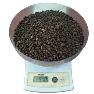 3.9 $/Kg Vietnam Zwarte Peper Gratis Monsters Kruidenpoeder Contact Whatsapp Dhr. Tony 84 938 736 924 Voor De Export Van Ons