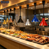 Lampe chauffante professionnelle en acier inoxydable pour buffet et maintien au chaud des aliments, équipement de cuisine pour hôtels, restaurants et cuisines commerciales