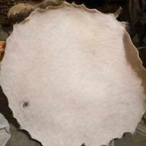 Peaux de tambour de différentes tailles pour tambour de taille et autres peaux de tambour en cuir de vache naturel - Product Image 2