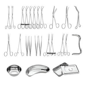 Offre exceptionnelle à faible MOQ : Kit d'instruments de rhinoplastie en acier inoxydable de 25 pièces avec plateau en plastique, outils Wenquar disponibles - Product Image 1