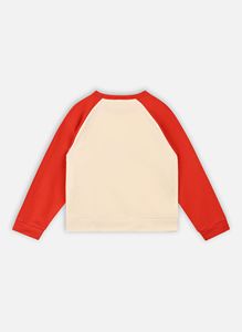 Sudadera con Capucha Extra Grande, Nueva, con Diseño de Doble Tela, Hecha a Medida, 100% Algodón, con Cierre, Antiencogimiento, para Invierno - Product Image 3