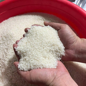 ข้าวญี่ปุ่น Japonica คุณภาพดี เนื้อนุ่ม ทรงกลม สำหรับทำซูชิและอาหารเอเชีย ยอดขายอันดับต้นๆ ของ IIglobal ข้าวเม็ดมุก 5% หักง่าย ผลิตจากเวียดนาม - Product Image 1