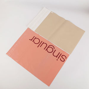 Bolsas de Correo y Sobres de Poliéster Reciclado con Logotipo Personalizado, Envío Exprés para Ropa y Folletos - Product Image 6