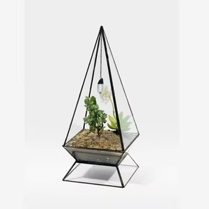 Contemporary <b>Frame</b> Indoor Metal Terrarium Glass Planter Decorative <b>Plant</b> Holder Home Accent - Product Image 4