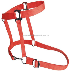 Licou de cheval en nylon équestre sur mesure fantaisie en plusieurs couleurs et tailles personnalisées accessoires en laiton corde de plomb assortie - Product Image 3