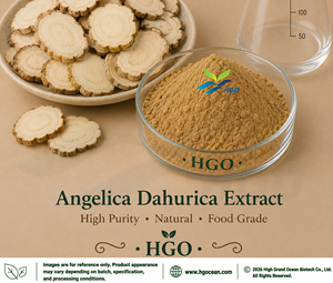 Suministro directo de fábrica HGO de extracto de Angelica Dahurica natural puro (grado alimenticio) Especificación 10:1 (extracto de proporción) - Product Image 1