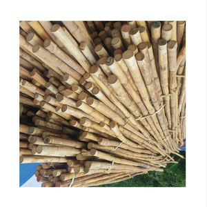 Varas de Ratán Natural, Forma de Caña, 2-3 Metros de Largo, 2 Metros de Diámetro, Secado al Aire, Origen Quang Binh, Marca 99GD, Modelo Emma, 2 Años de Duración - Product Image 1