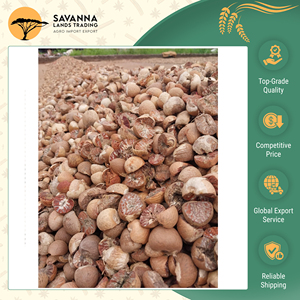 Fornitura Diretta dalla Fabbrica, Ottima Qualità per l'Esportazione, Noci di <span class=keywords><strong>Betel</strong></span> Sfilettate e Tagliate, Prezzo di Mercato Ragionevole, OEM Accettato - Product Image 2