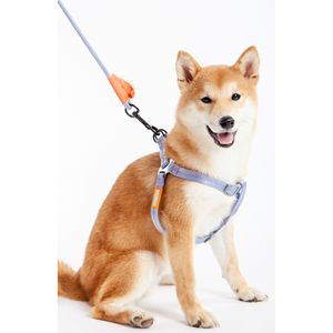 Pettorina e Guinzaglio per Cani 2-in-1 in Nylon Resistente Macaron - Pettorine Premium per Animali Domestici - Product Image 3