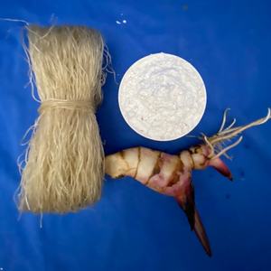 เส้นก๋วยเตี๋ยวข้าวโพดแห้งเวียดนามคุณภาพดีเยี่ยม บริสุทธิ์ ปราศจากกลูเตน จำหน่ายราคาส่ง เหมาะสำหรับตลาดต่างประเทศ - Product Image 4