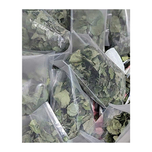 Feuilles de ginseng écologiques pour un mode de vie naturel - Product Image 1