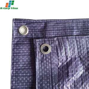 Lona de Polietileno de Alta Resistencia K-Tarp Vina Azul Cielo, Servicio de Corte/Moldeo Personalizable OEM/ODM, Vietnam - Product Image 3