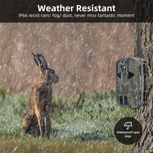 Nouvelle caméra de chasse sans fil 4G LTE, 14MP, 2.7K HD, étanche IP66, vision nocturne, contrôle par application, carte SD, prix usine - Product Image 5