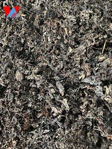 POLVO DE ALGA SARGASSUM SECA DE ALTA CALIDAD o MATERIA PRIMA/ Sra. Lima - Product Image 3