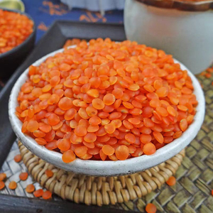 Lentilles Rouges de Qualité Supérieure en Gros, Grade Alimentaire, Stock Prêt, Service OEM, Exportation - Product Image 1