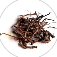 Extrait de racine de Coleus de qualité supérieure, qualité alimentaire, 60% de Forskohlin, certifié HPLC, poudre en vrac, vente en gros, qualité export, fournisseur