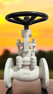 Vanne d'angle WCB à brides aux normes internationales pour applications haute pression (vapeur, produits chimiques, liquides) pneumatique - Product Image 3