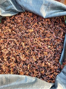 Anís estrellado seco de alta calidad, entero y en rodajas, exportación a granel directa de fábrica de Vietnam y empaque personalizado - Sra. Tarina - Product Image 5