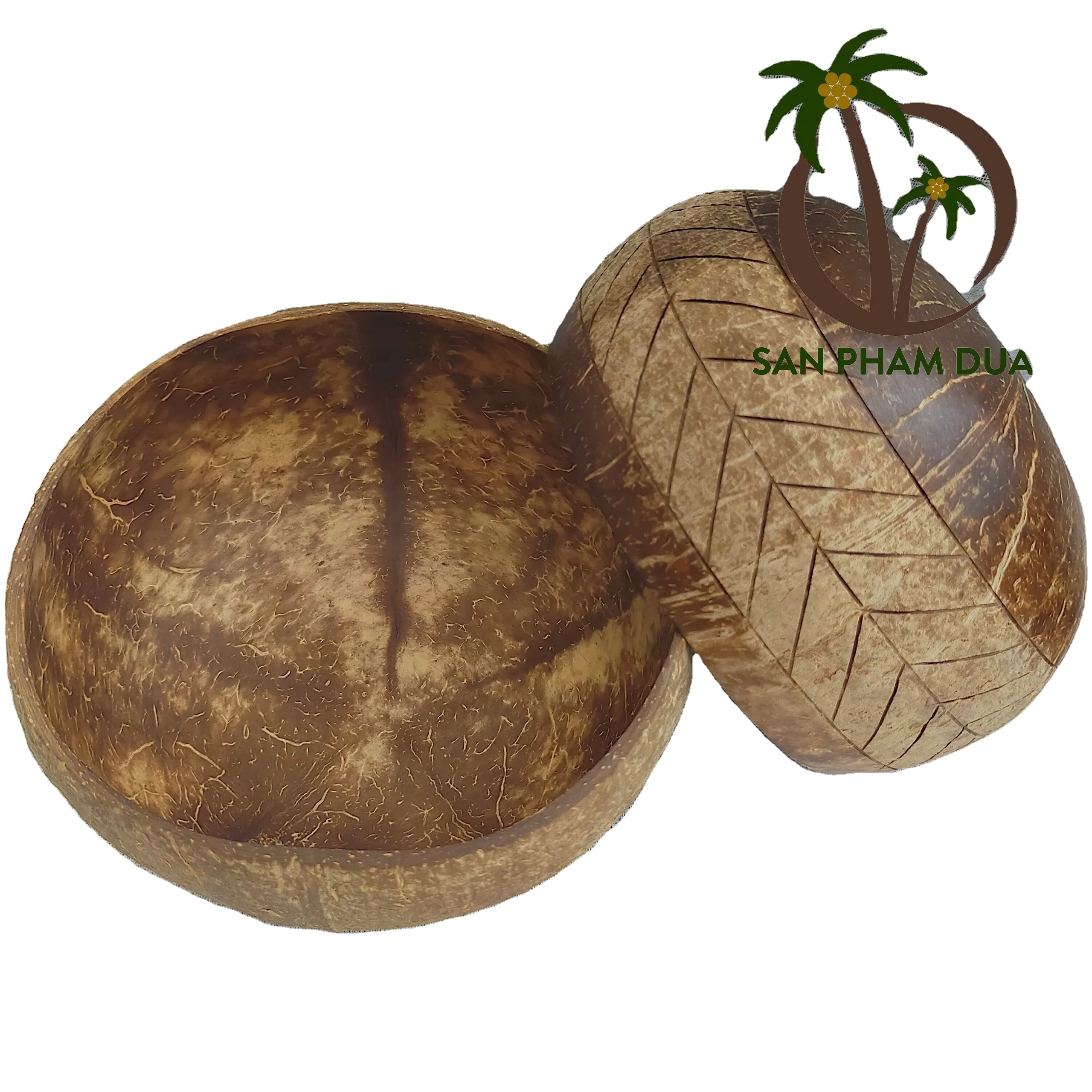 ベトナム/ココナッツ木製スプーンセット/高品質の環境にやさしい天然ココナッツボウルからの卸売100% 天然ココナッツ小型ボウル