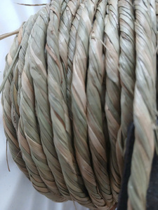 Grandes herbes marines séchées de qualité supérieure 1,5 m – Matière première naturelle pour la fabrication de tapis et de nattes pour animaux – 21 ANGLE - Product Image 2