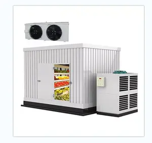 Soluzione camera Blast Freezer per la carne fresca a congelamento rapido con compressore Bitzer contenitore cella frigorifera