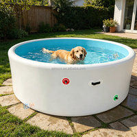 Piscine gonflable ronde, piscine gonflable en PVC durable pour adultes et enfants, utilisation en extérieur