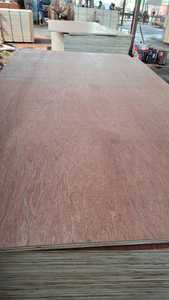 Contrachapado Comercial con Núcleo de Eucalipto, Diseño Moderno para Apartamentos, 1220x2440mm, Instalación In Situ, Solución Total - Product Image 4