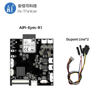 Servicios Personalizados de Fabricación de PCBA Ai-Thinker, Procesamiento de Placas de Circuito, Tecnología de Montaje en Superficie SMT, Soldadura