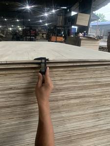 Cajas de Madera Contrachapada Industrial para Exportación |   Solución de Envío Reutilizable y Ligera - Product Image 4