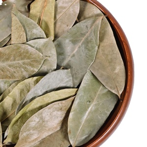 Feuilles de corossol séchées au soleil naturel du Vietnam, sélection botanique premium, soigneusement traitées, propres, aromatiques, conformes aux normes d'exportation - Product Image 6