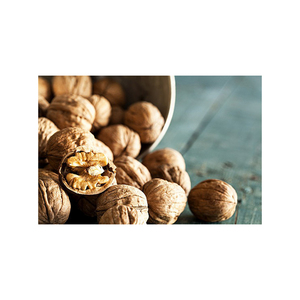 Noix en gros, approvisionnement en vrac, prix bas, fruits secs riches en nutriments - Product Image 1