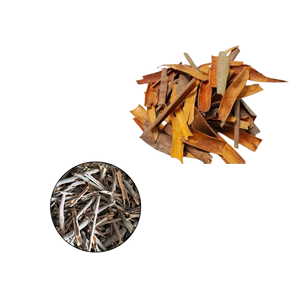 Fabricant vietnamien : Cannelle cassia brisée de qualité supérieure, la plus vendue, à bas prix, emballée en boîte de 10 kg - Product Image 1