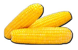 Épis de maïs jaunes en maïs emballé sous vide/maïs frais sucré séché prêt à manger/maïs congelé en vrac - Product Image 5