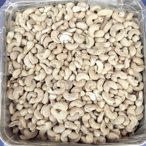 Vietnam Trusted Supplier Raw Cashew Kernel W210 W240 W320 Cashew Nuts Vietnam Exported Asia Middle East - Product Image 1