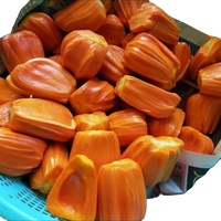 Oem Indonesische Rode Jackfruit Van Vietnam/Iqf Frozen Proces Hoge Kwaliteit 100% Bevroren Fruit + 84 379 472 573