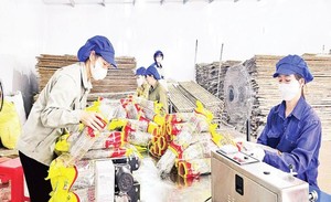 <b>Noodles</b> made from 100% pure sweet potato starch transparent like glass no additives packaged in bulk quantities of 200g/10kg - Product Image 3