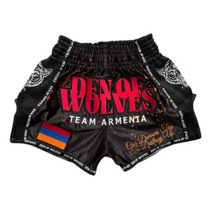 Shorts de boxe Muay Thai personnalisés en polyester, séchage rapide, taille élastique, légers, pour hommes - Product Image 4