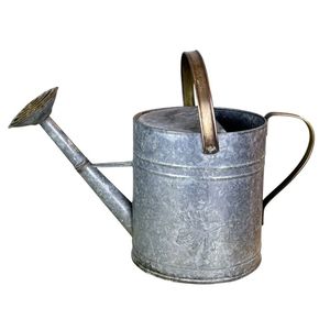 Arrosoir en métal idéal pour le jardinage quotidien, intérieur/extérieur, matériau résistant à la rouille, bec long pour une arrosage précis. - Product Image 1