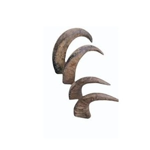 Cuerno Crudo Natural de Búfalo Pulido a Mano para Tazas, Joyería, Mangos de Cuchillos y Decoración - Product Image 5