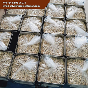 Nueces de Anacardo Crudas Secas Naturales de Vietnam, Tipo de Cultivo Común (ELLY - WA +84 829 526 179) - Product Image 2