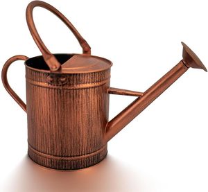 Arrosoir en métal au design tendance et élégant avec finition rustique pour l'arrangement décoratif de plantes d'intérieur - Product Image 3