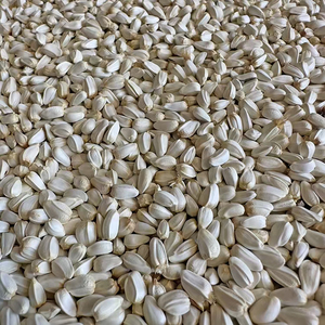 Wholesale Bulk Fresh Safflower <b>Seeds</b> Premium Quality Stock South Africa for Large Volume B2B Trade Orders GLOBAL EXPORT - Product Image 5