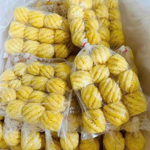 Rodajas de Piña Congeladas de Vietnam, Suministro al por Mayor para Empresas de Procesamiento de Frutas - Product Image 1