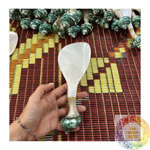 ผู้ส่งออกช้อนเปลือกหอยธรรมชาติจากเวียดนามสำหรับอุปกรณ์รับประทานอาหารและการจัดจำหน่ายขายส่ง - Product Image 3