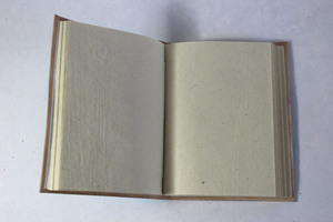 Carnet en cuir de chèvre bleu clair, gaufré motif bananier, 100 pages intérieures en papier, vente en gros - Product Image 3