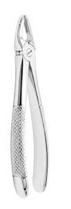 Forceps d'extraction dentaire pour racine supérieure, à bec étroit, pointe dentelée, manche texturé, en acier inoxydable - Product Image 5