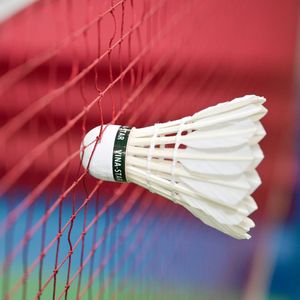 Wholesale VinaStar Premium Grade 1 Badminton Shuttlecock <b>Top</b> Quality Goose <b>Feather</b> for International Match Standard - Product Image 4