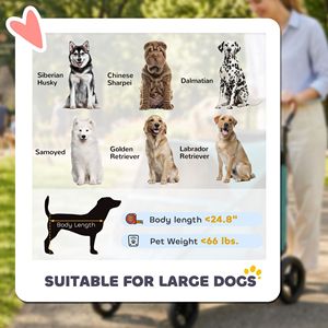 Passeggino per Cani di Taglia Grande fino a 30 kg, Maniglia Regolabile in 8 Posizioni, Sospensioni a Molla, Colore Verde Acqua - Product Image 3
