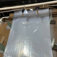 Sac plastique sous vide transparent et résistant à l'humidité en PA/PE pour l'emballage des aliments congelés, des aliments pour animaux et des nouilles, avec impression en gravure