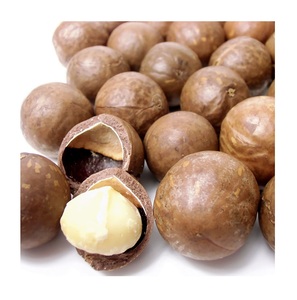 Macadamia <b>Nuts</b> Wholesale 10kg Bulk Macadamia <b>Nuts</b> - Product Image 4